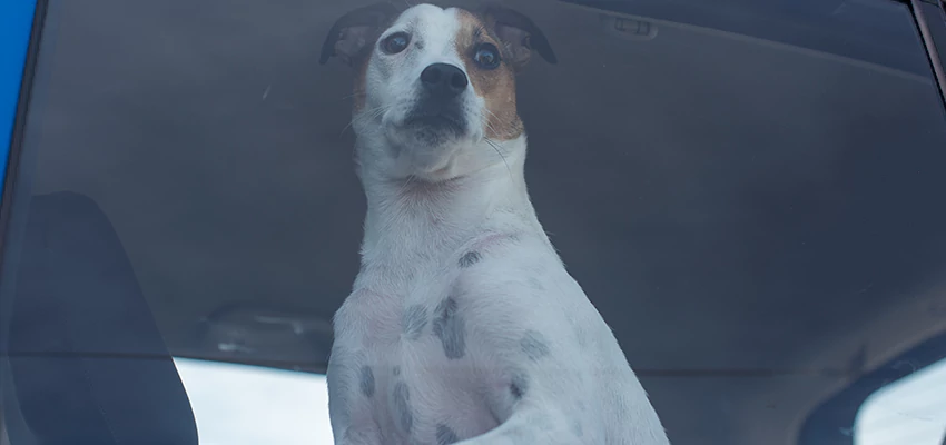 Car Lockout Solutions in Woodside, California